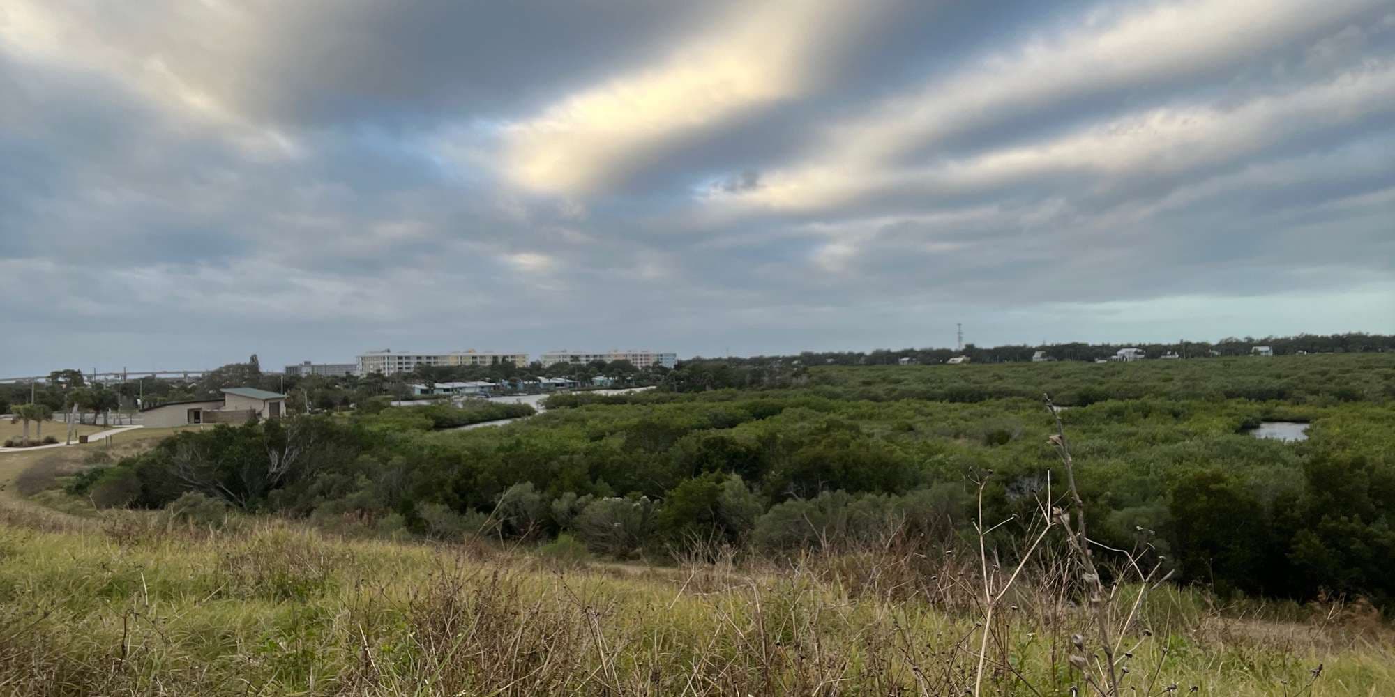 Second image to compare