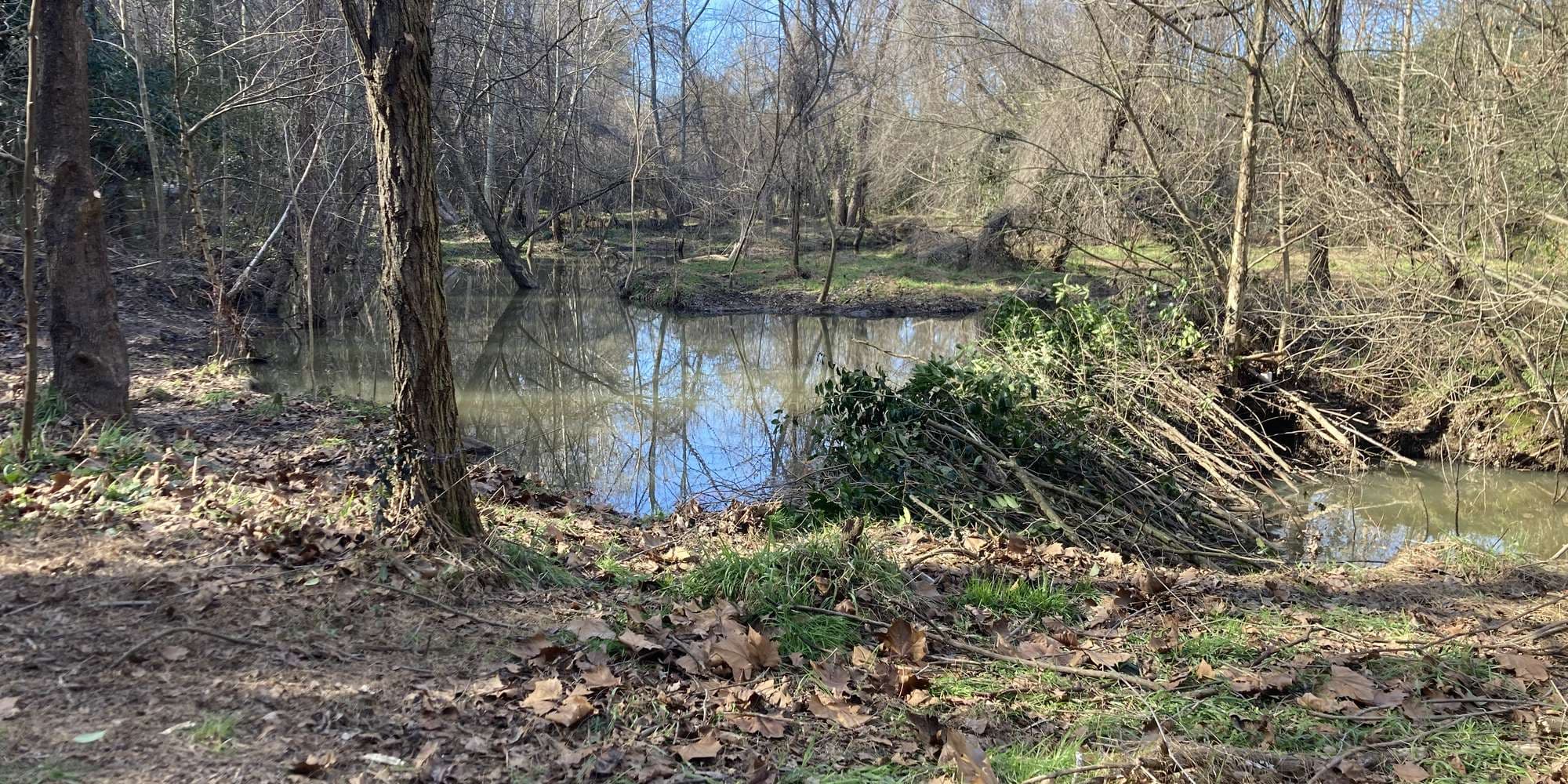 First image to compare