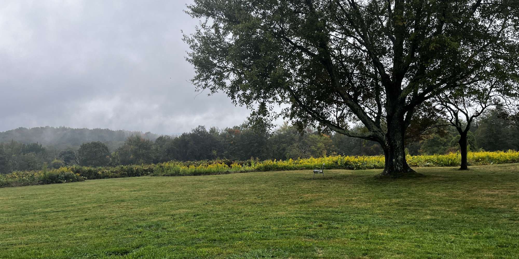 First image to compare