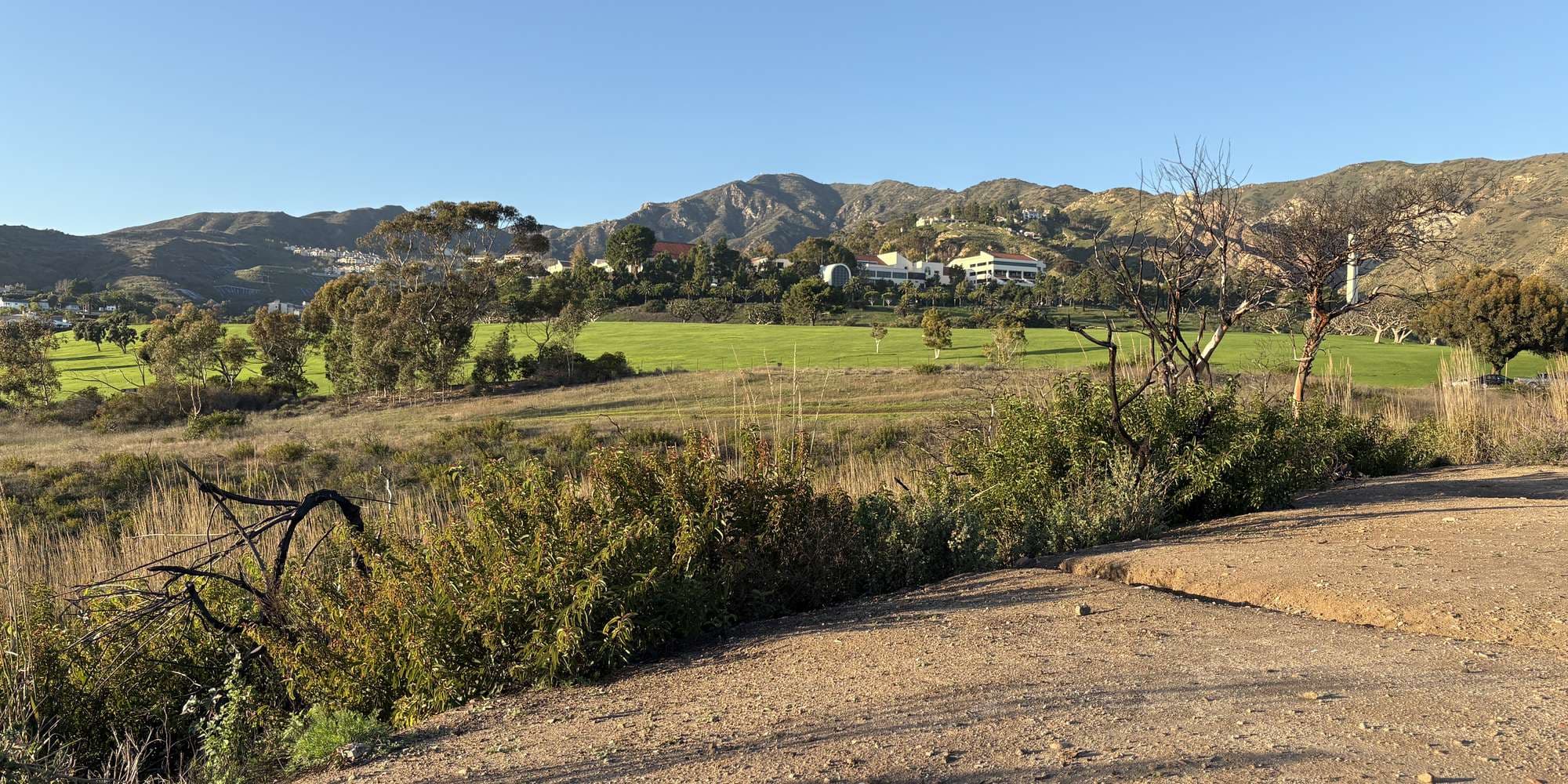 Second image to compare