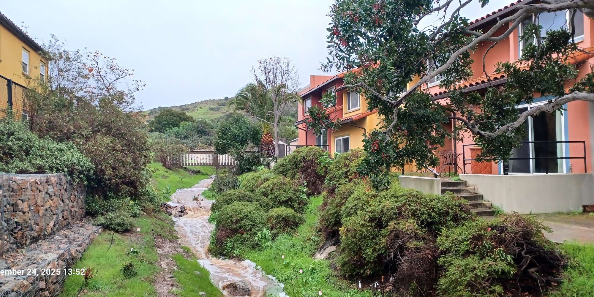 Second image to compare