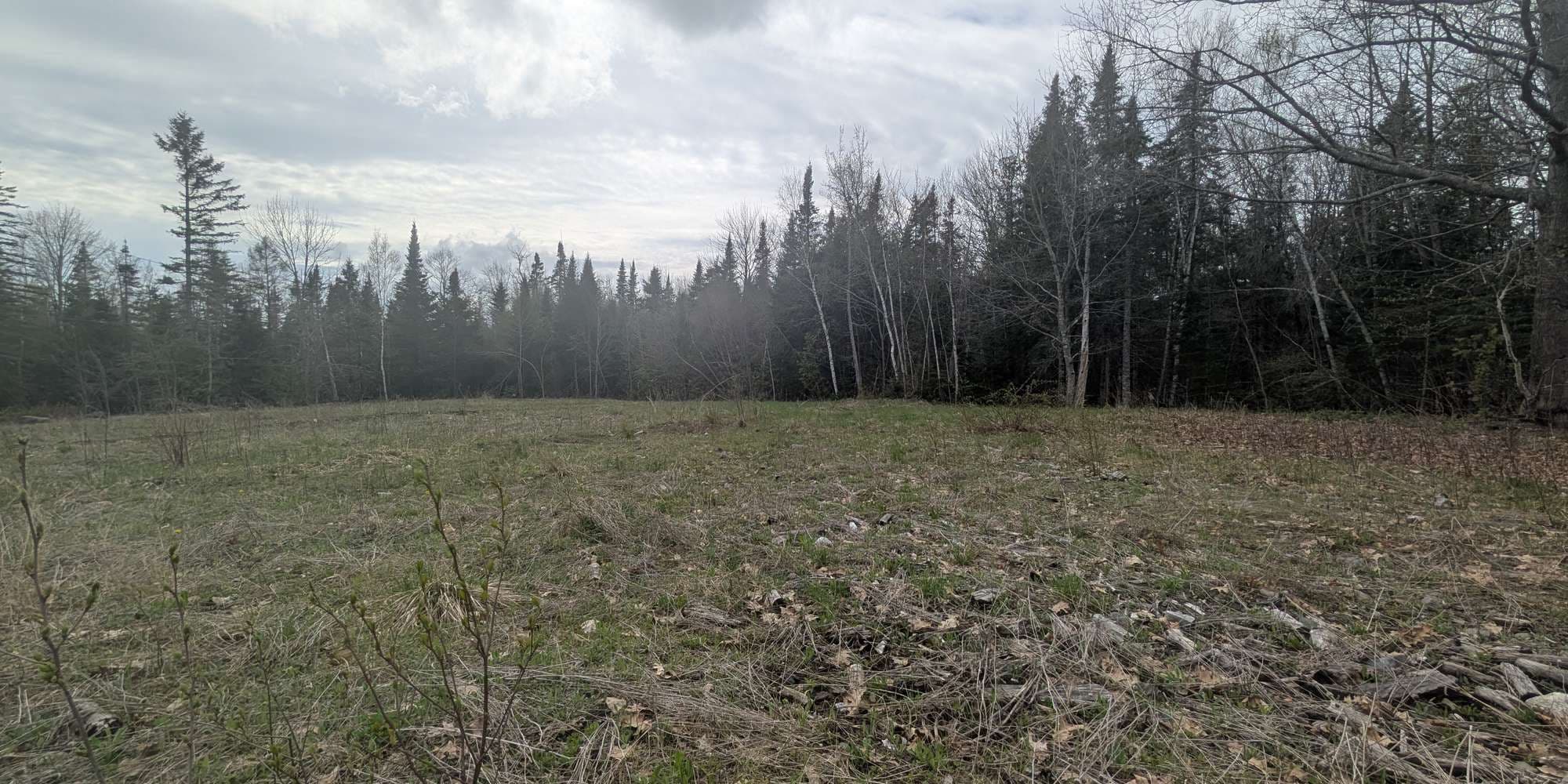 Second image to compare