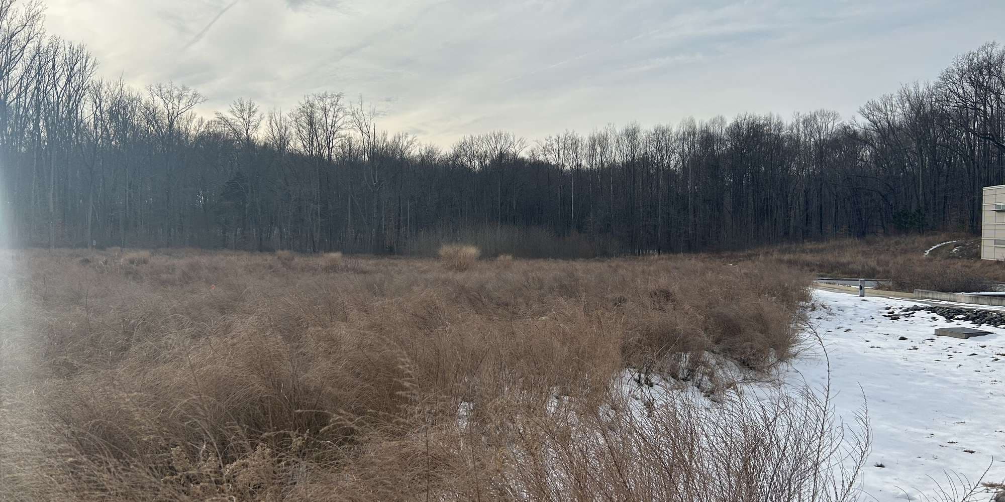 First image to compare