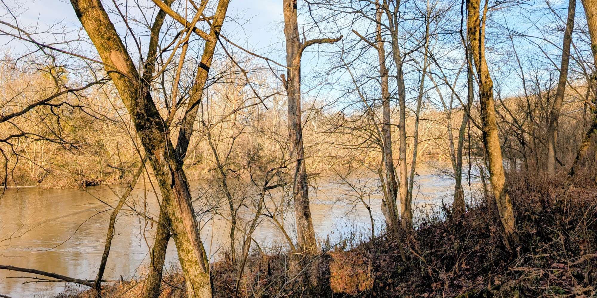 Second image to compare