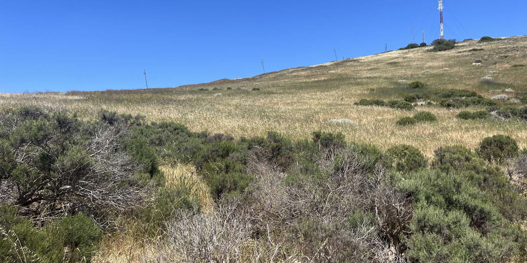 Second image to compare