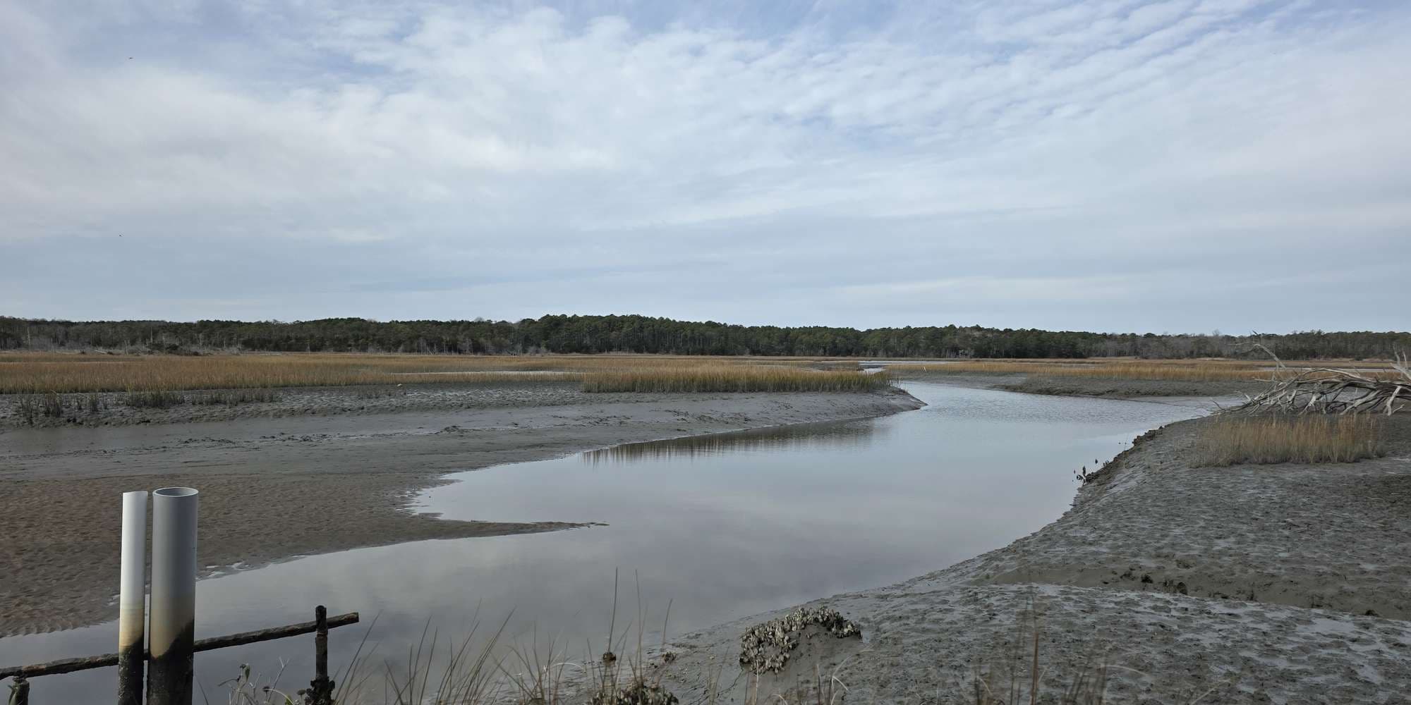 Second image to compare