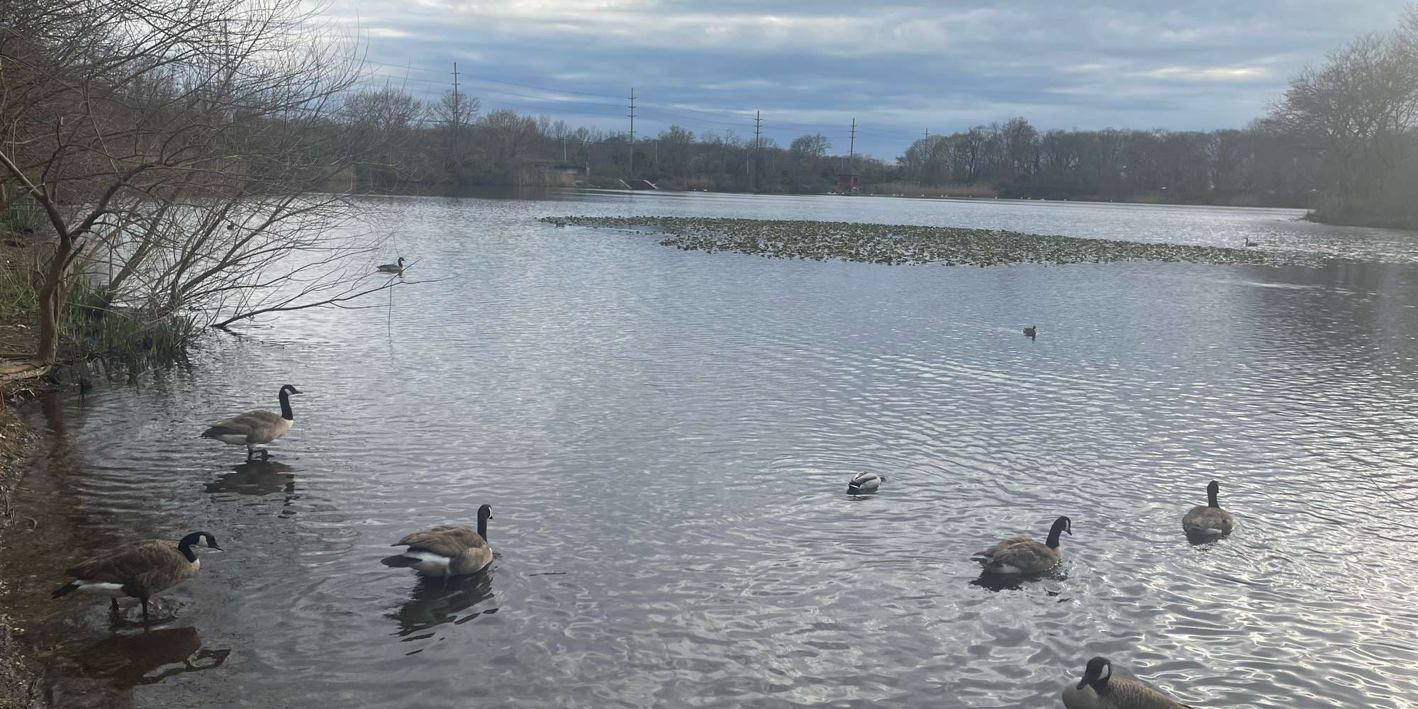 Second image to compare