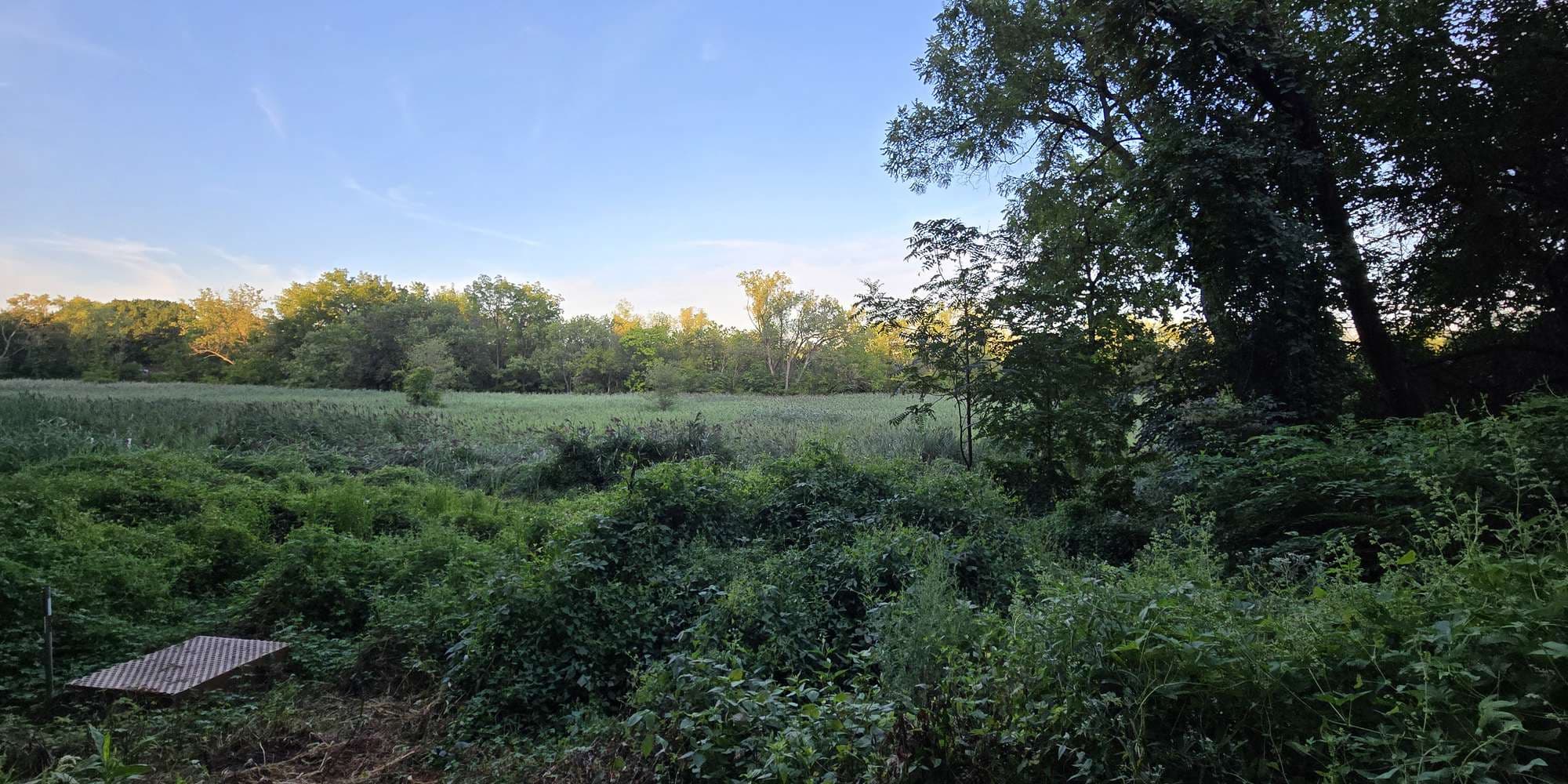 First image to compare