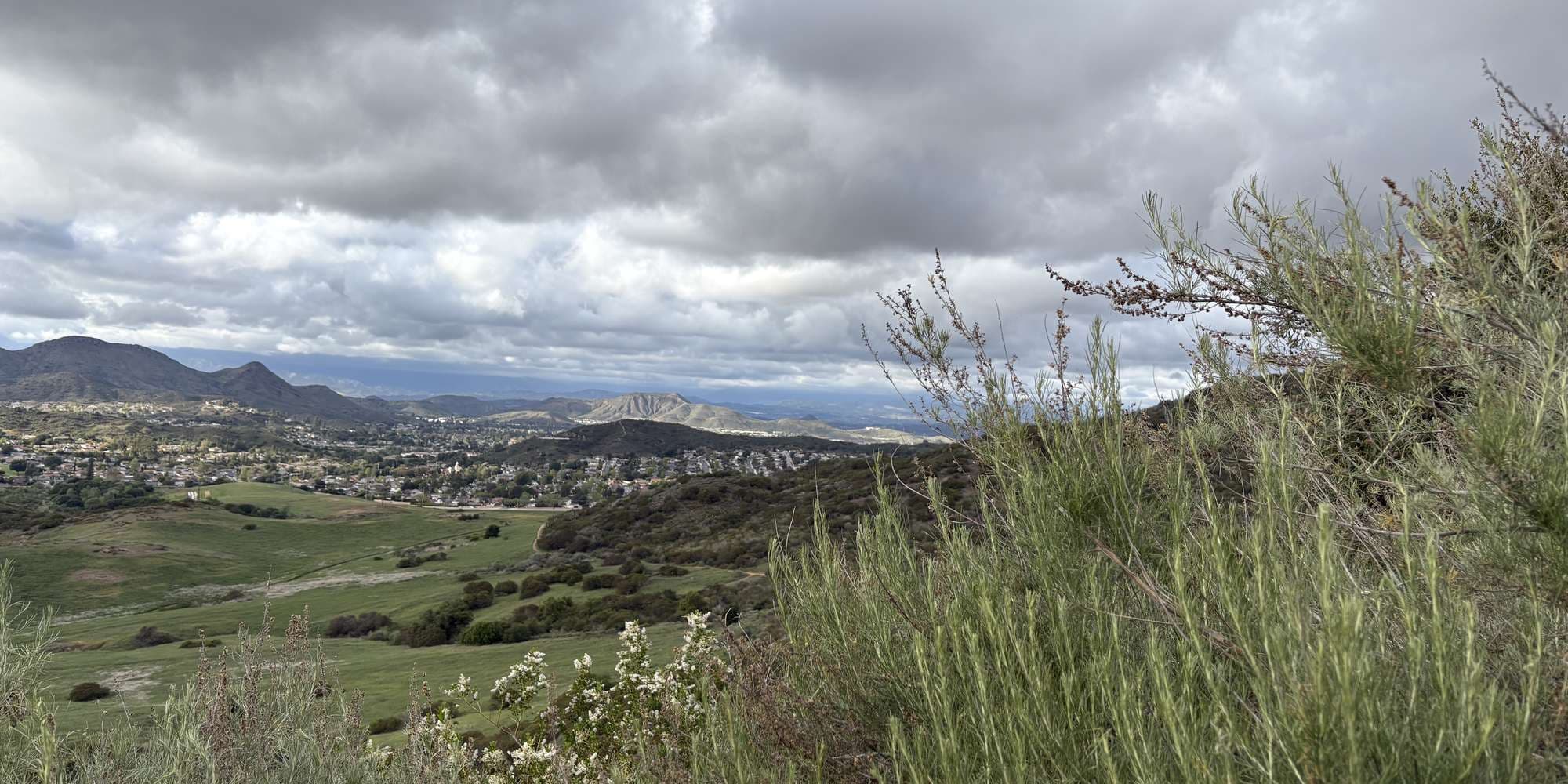 Second image to compare