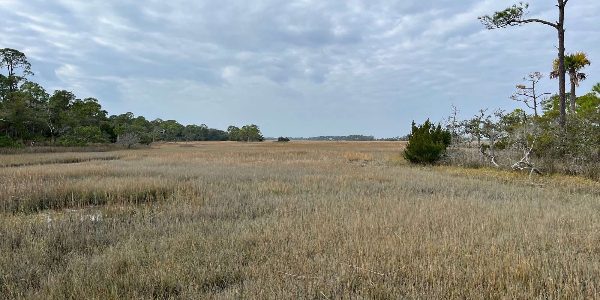 Second image to compare