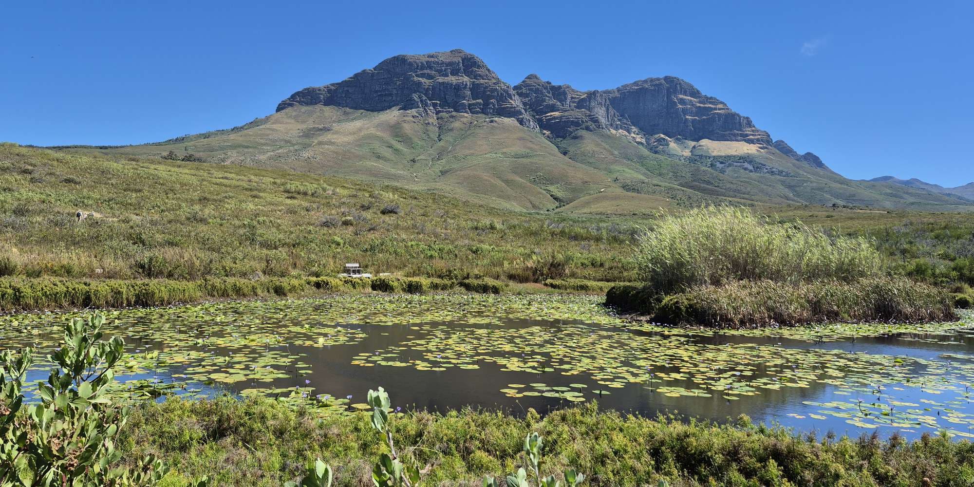 Second image to compare