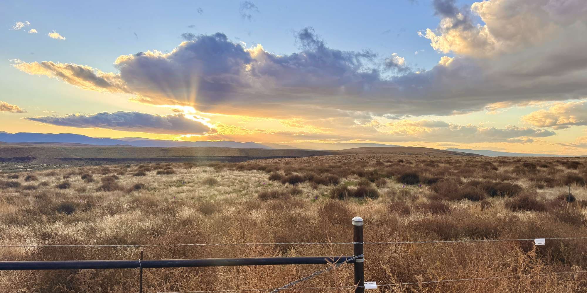 Second image to compare