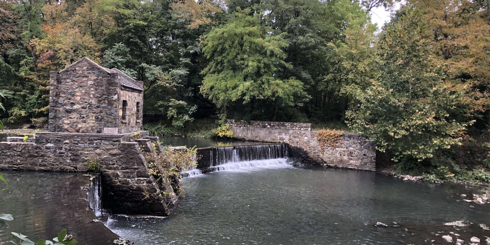 First image to compare