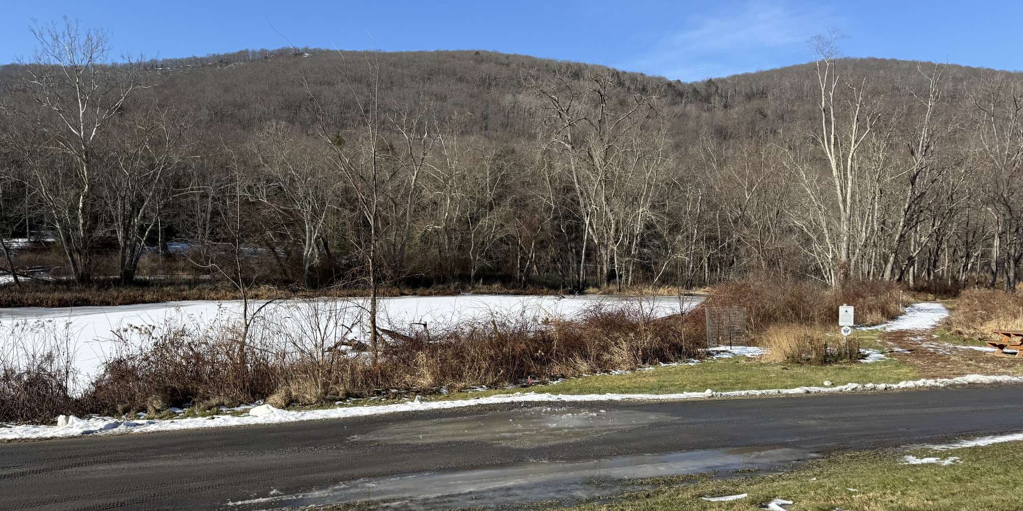 Second image to compare