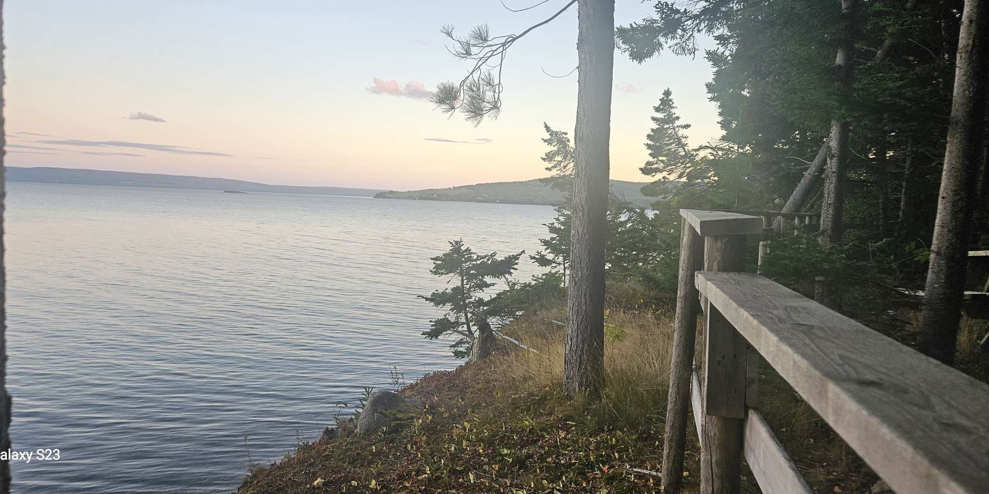 Second image to compare