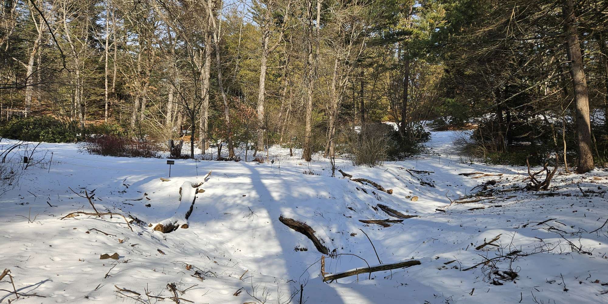 Second image to compare