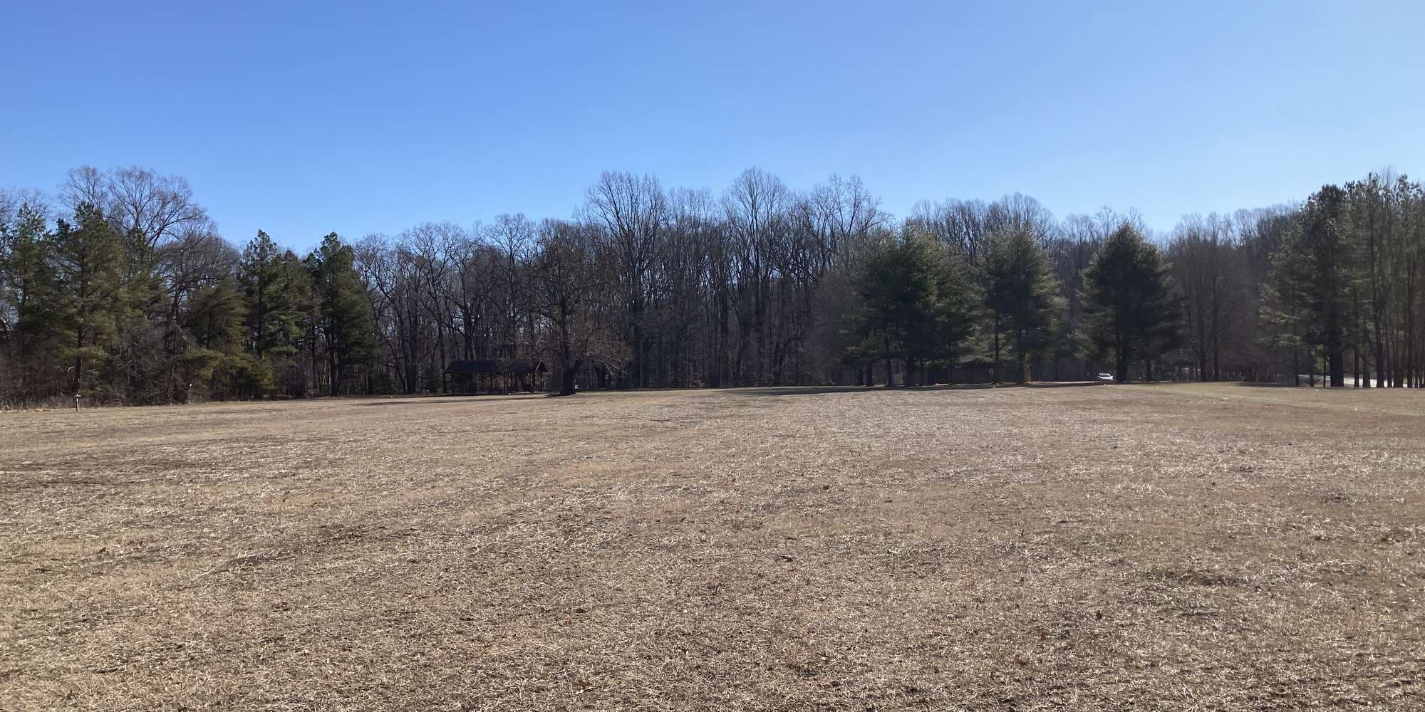 First image to compare