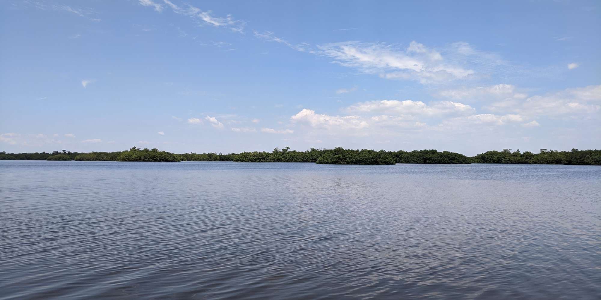 First image to compare