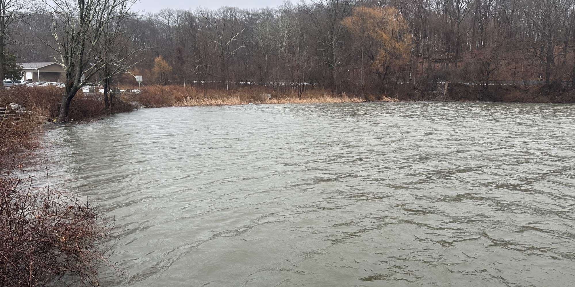 Second image to compare