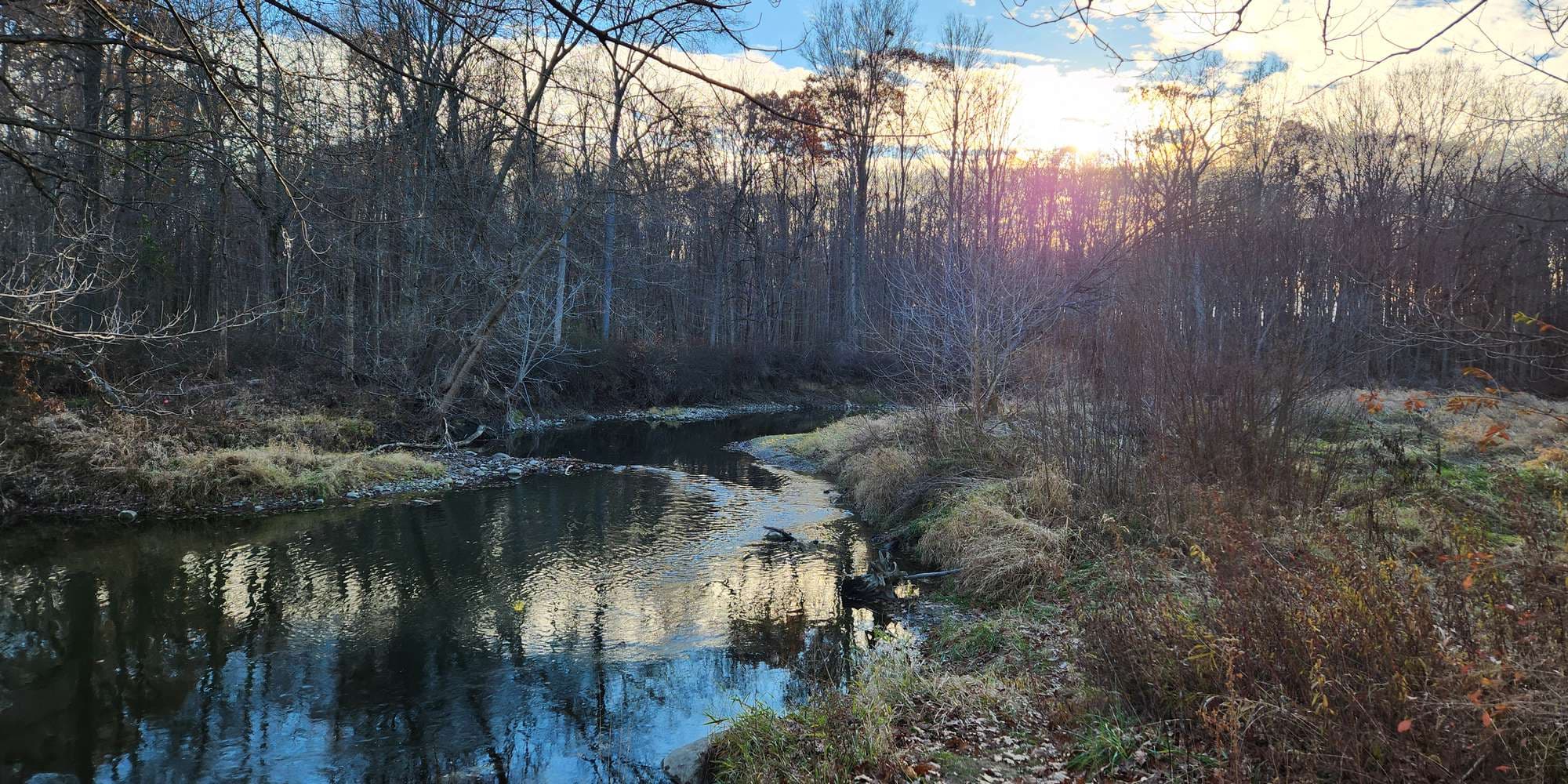 Second image to compare