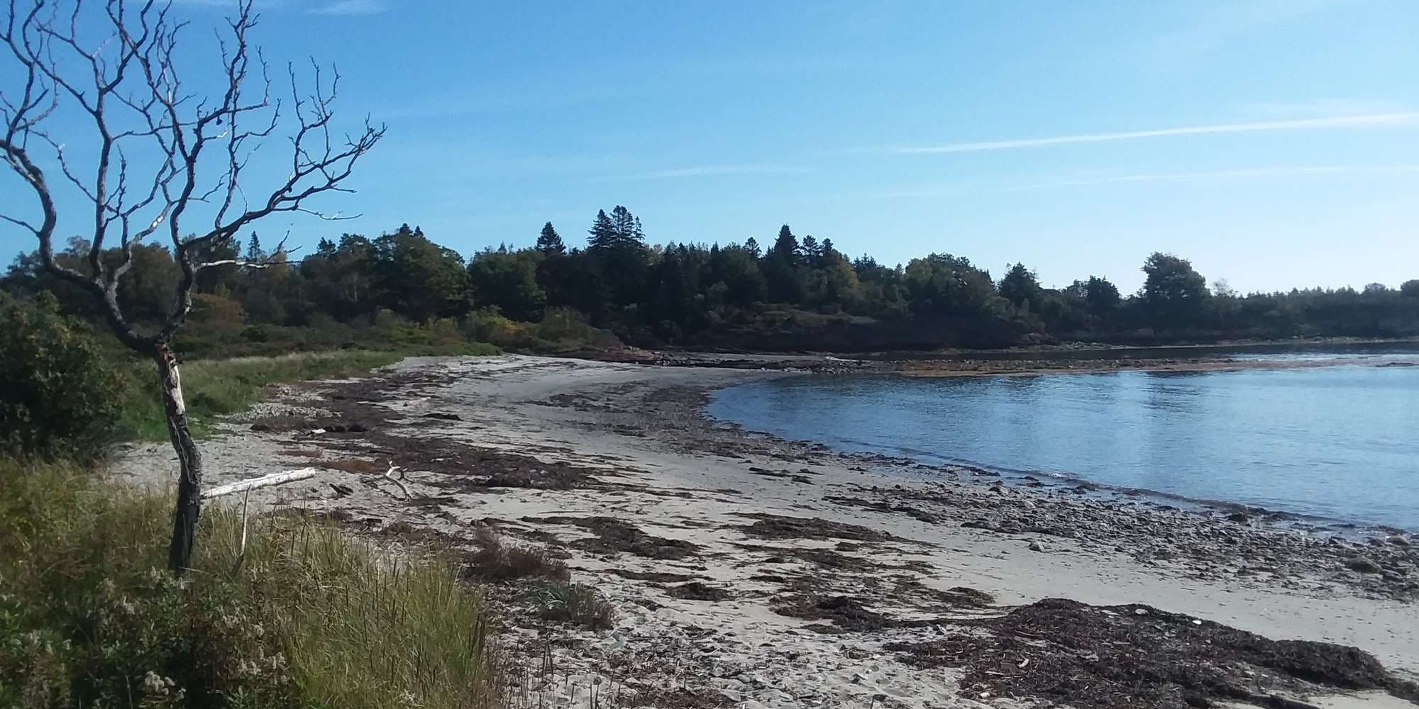 First image to compare