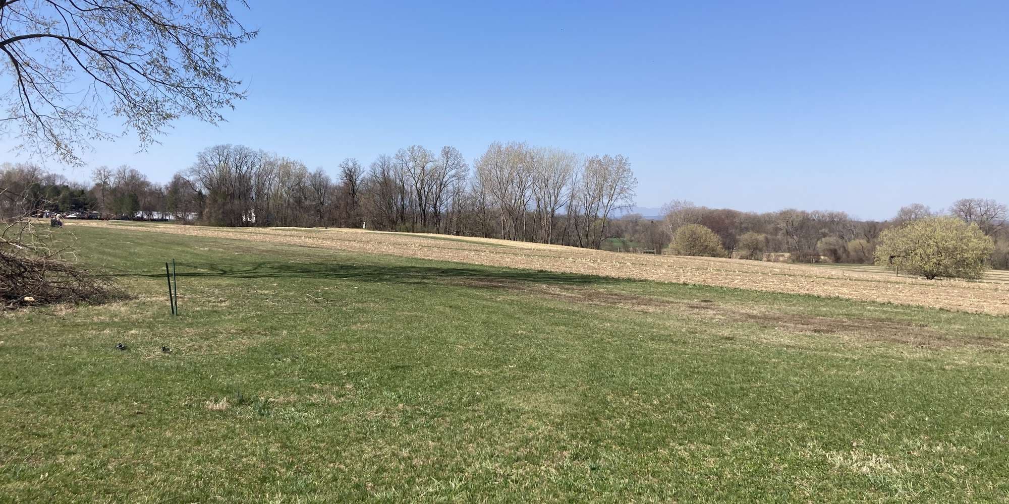 First image to compare