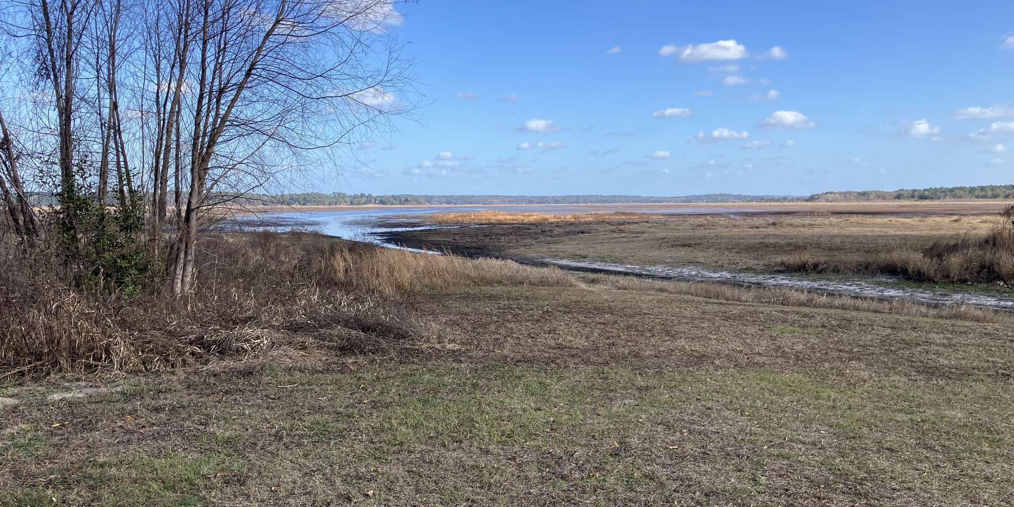 Second image to compare