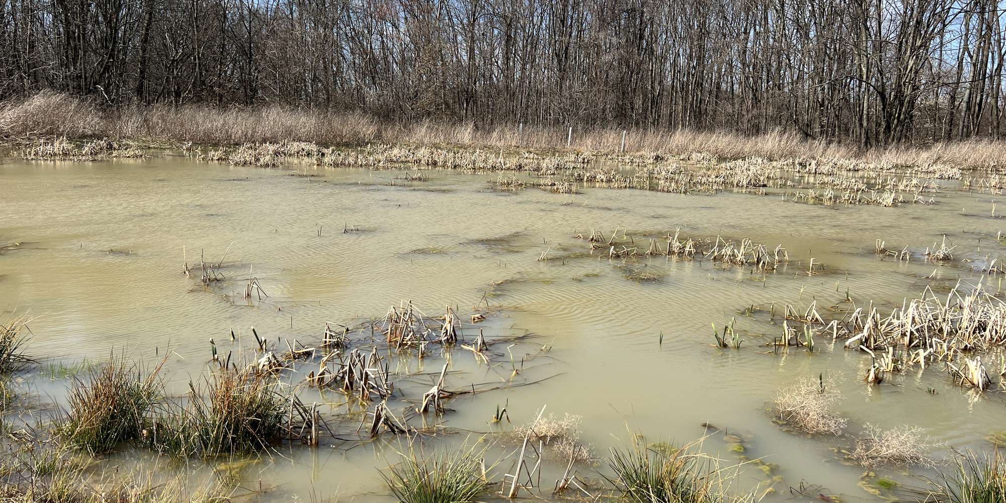 First image to compare