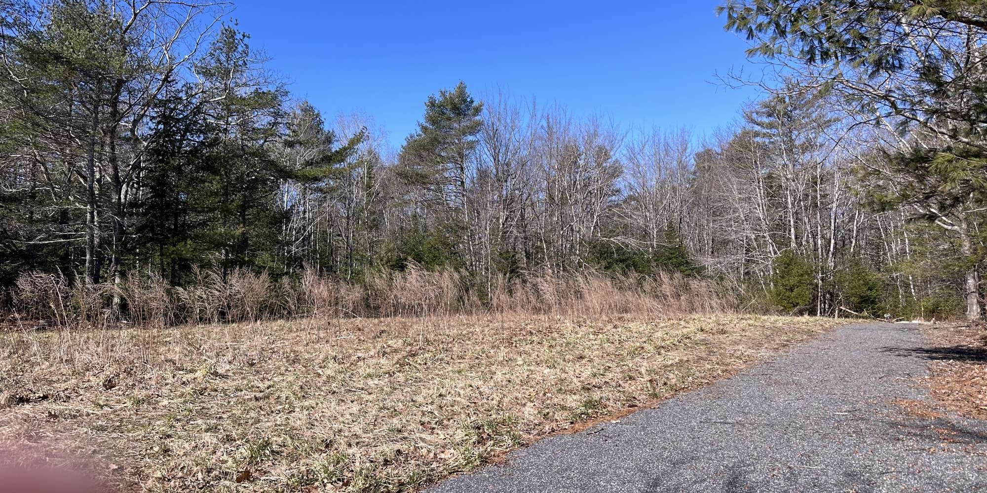 First image to compare