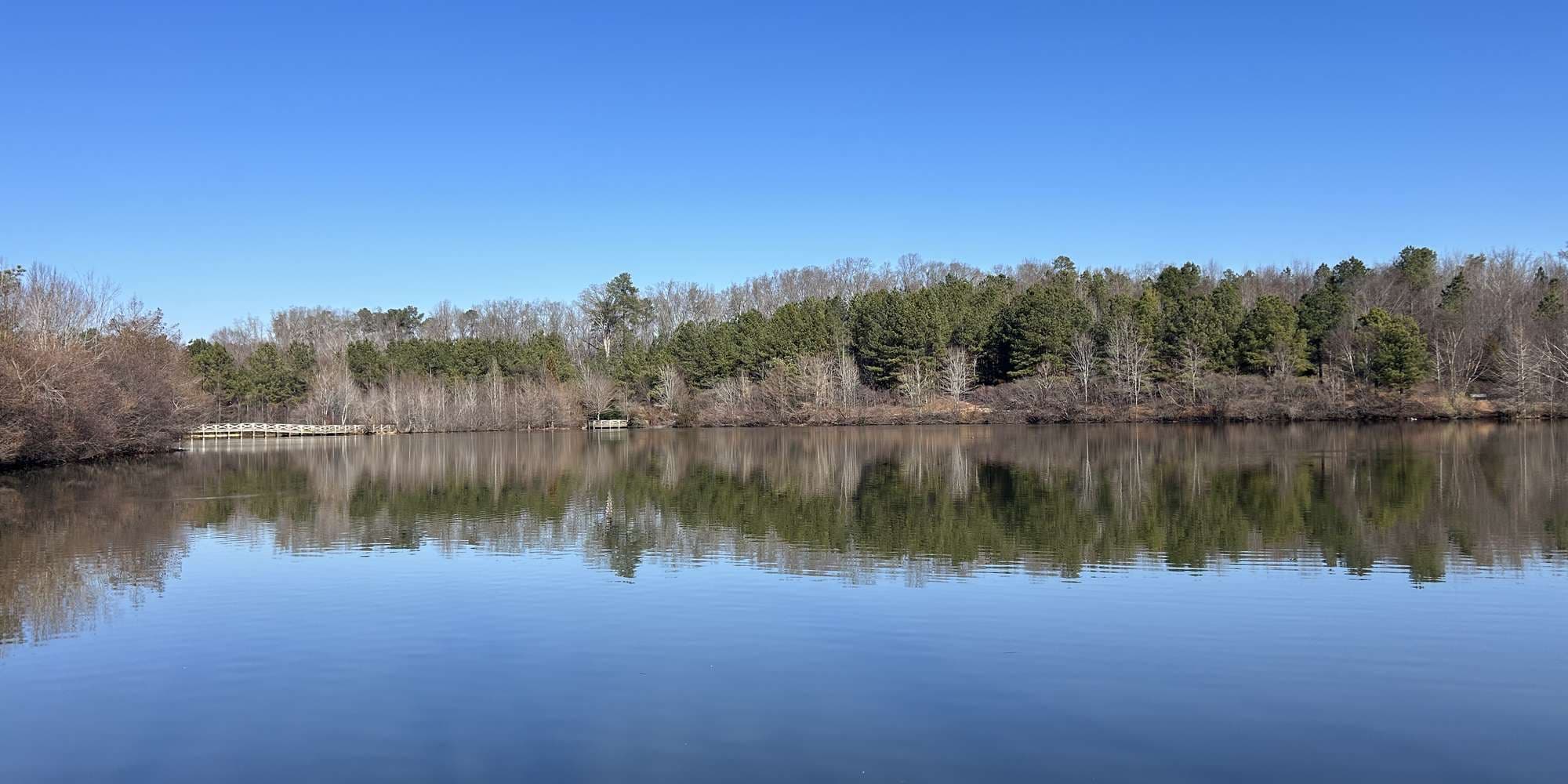 Second image to compare