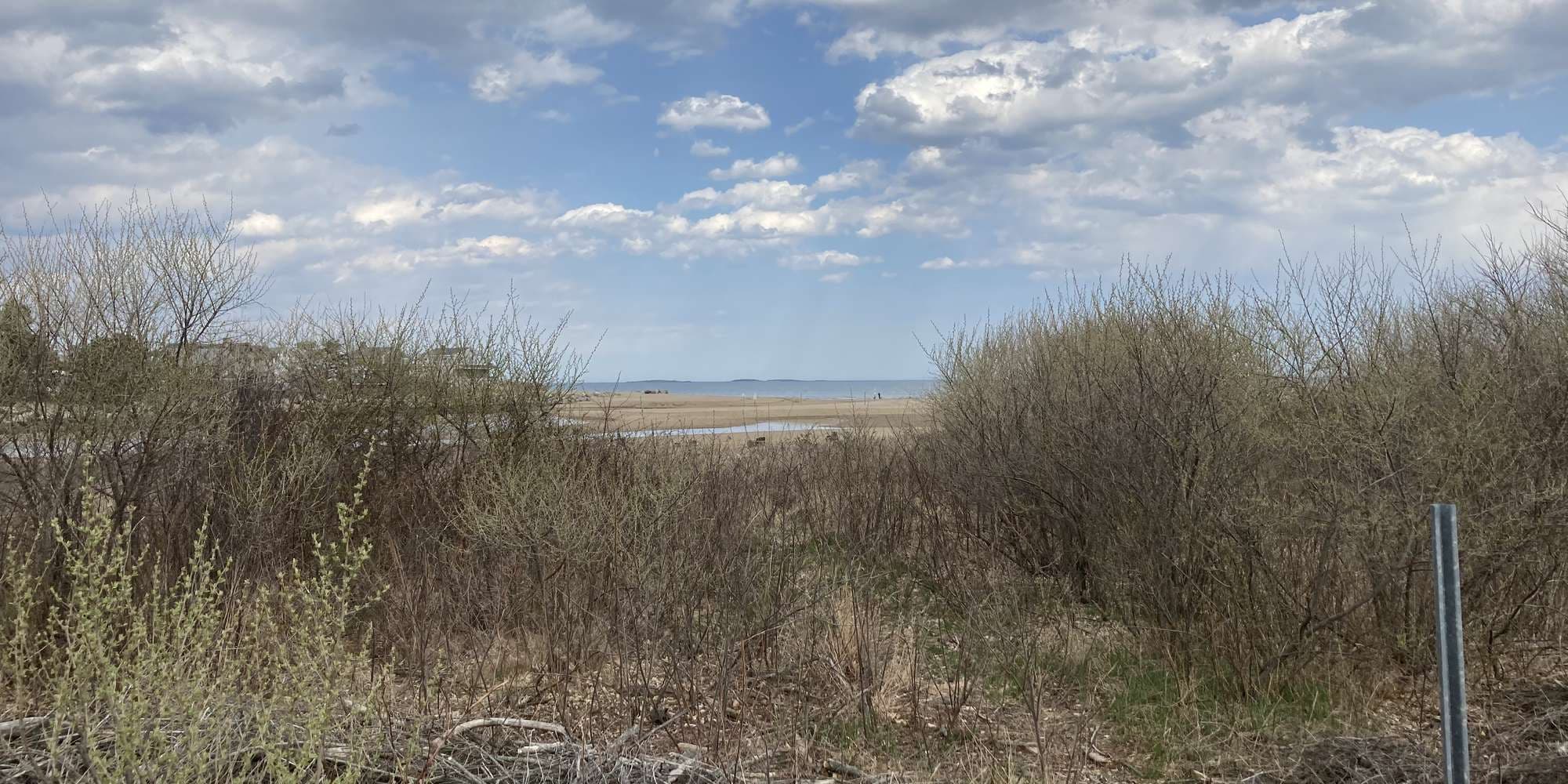 First image to compare