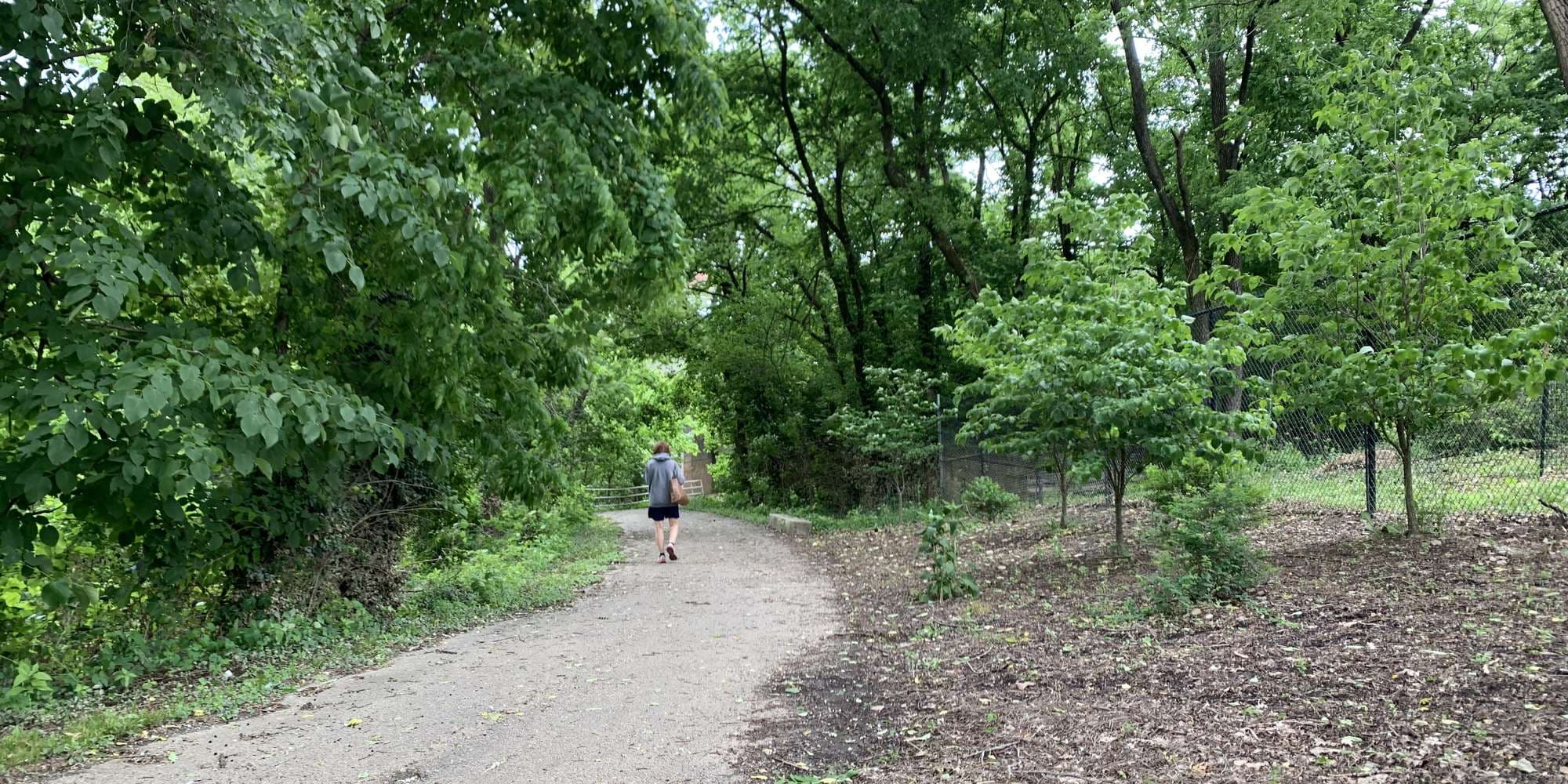 Second image to compare