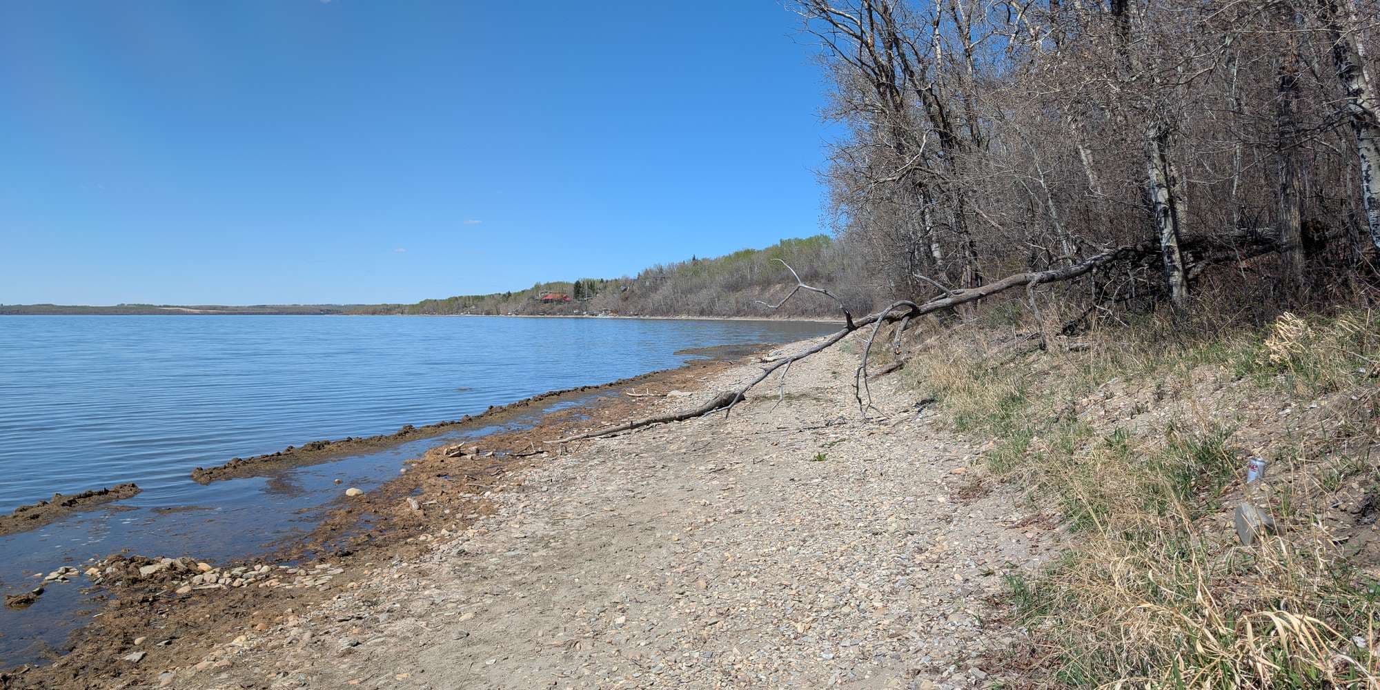 First image to compare