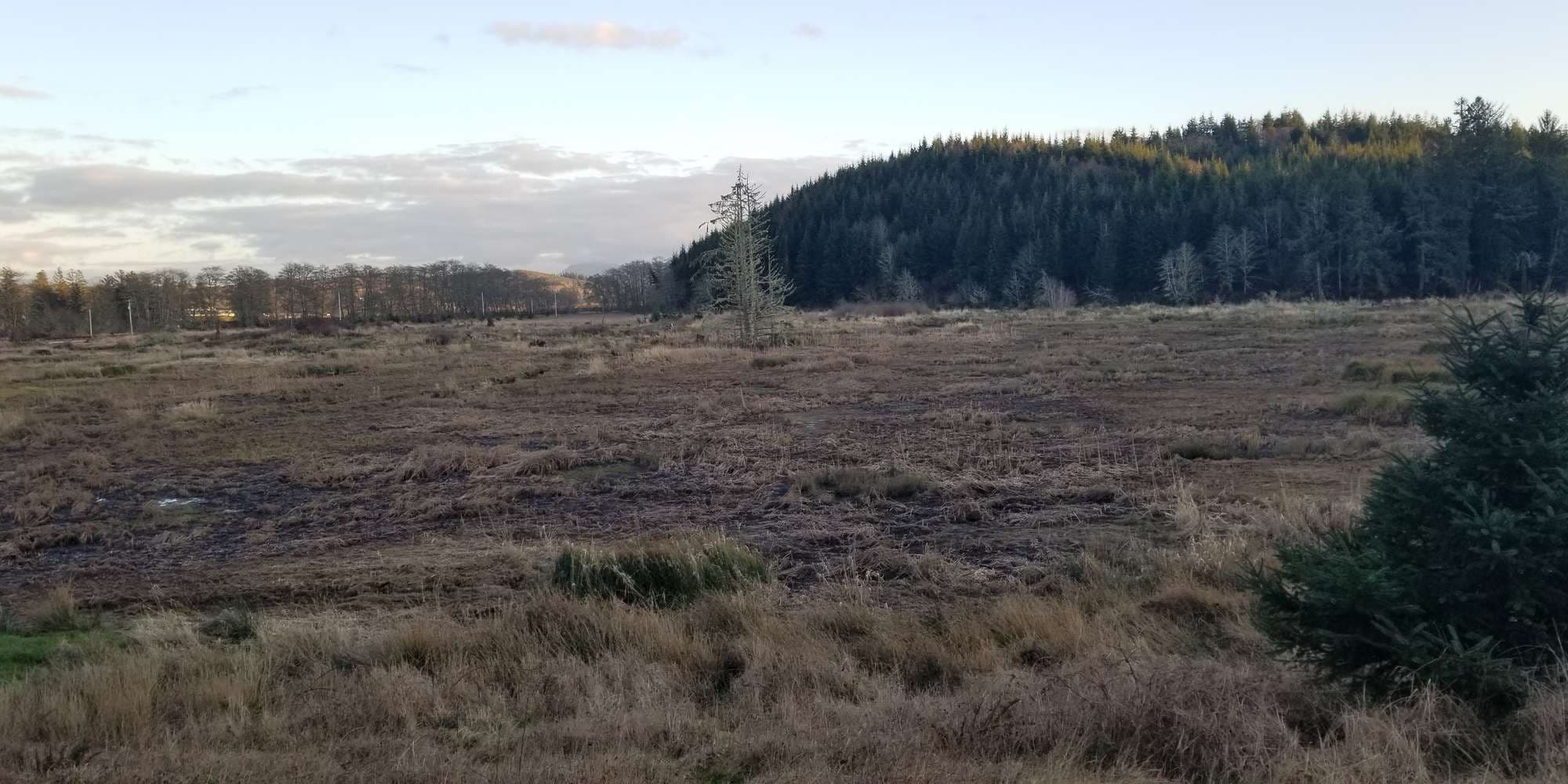 First image to compare