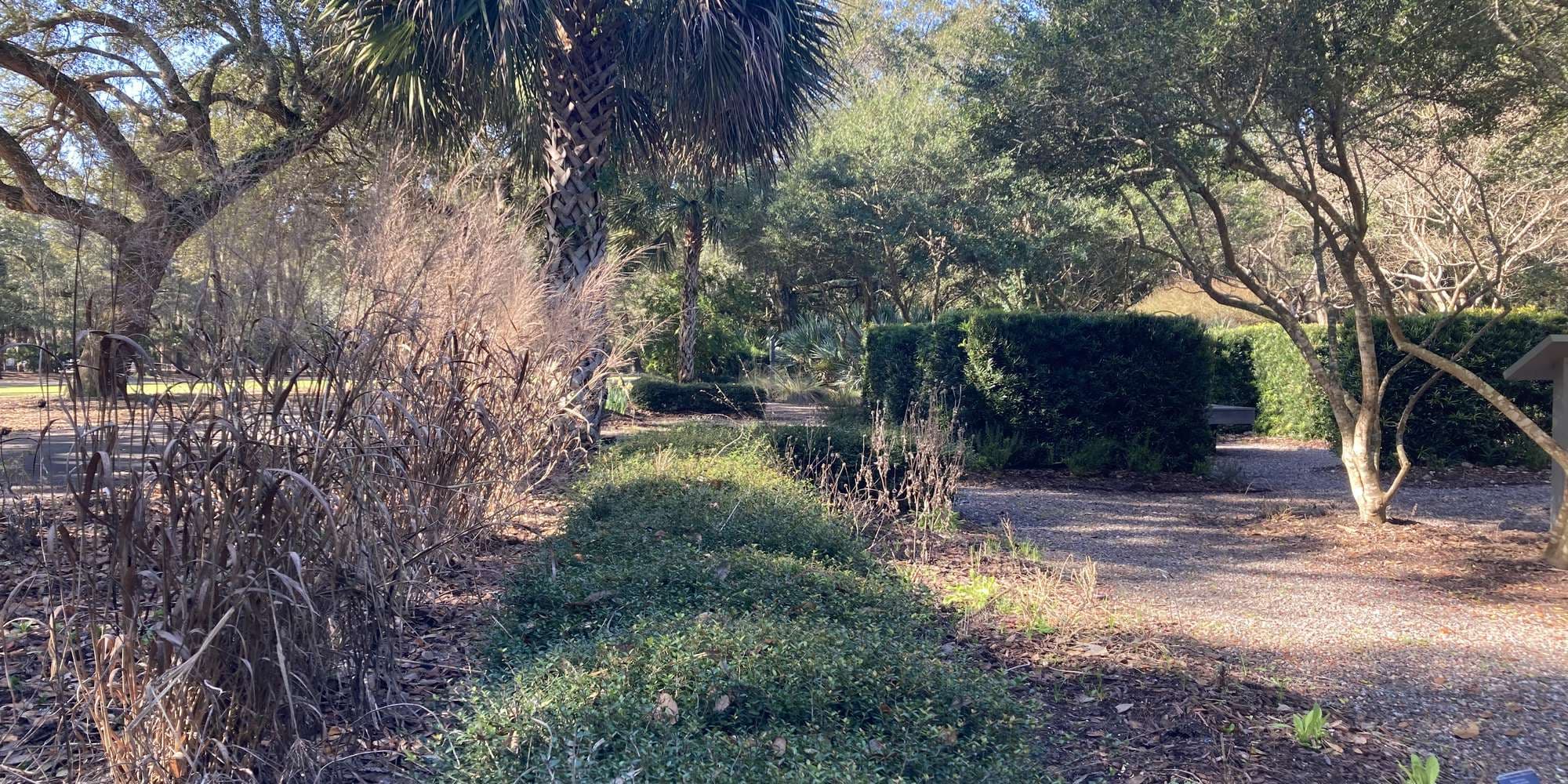 First image to compare