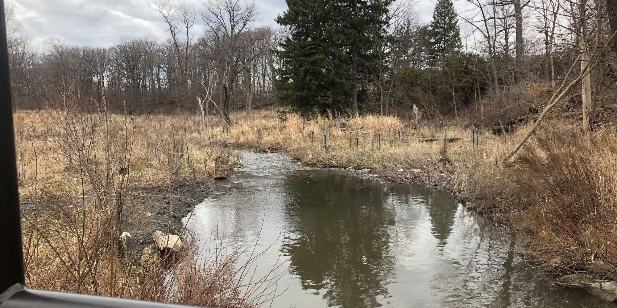 First image to compare