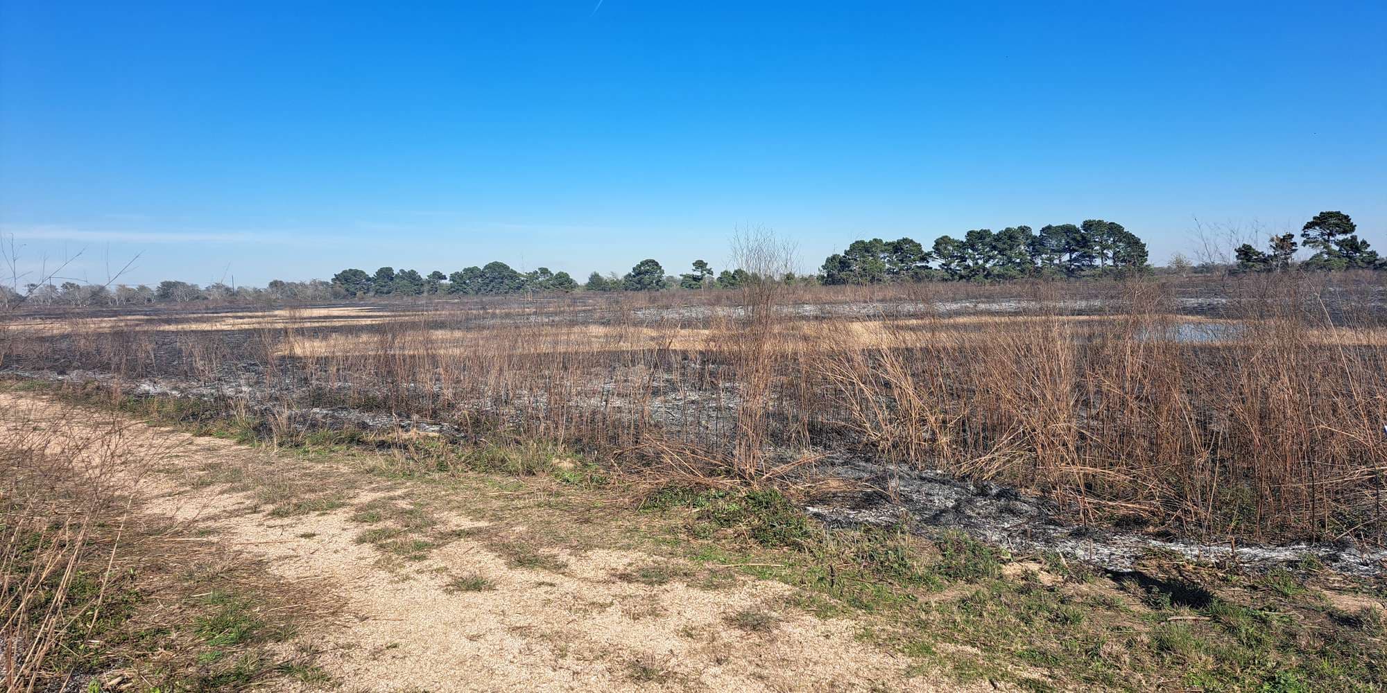 Second image to compare