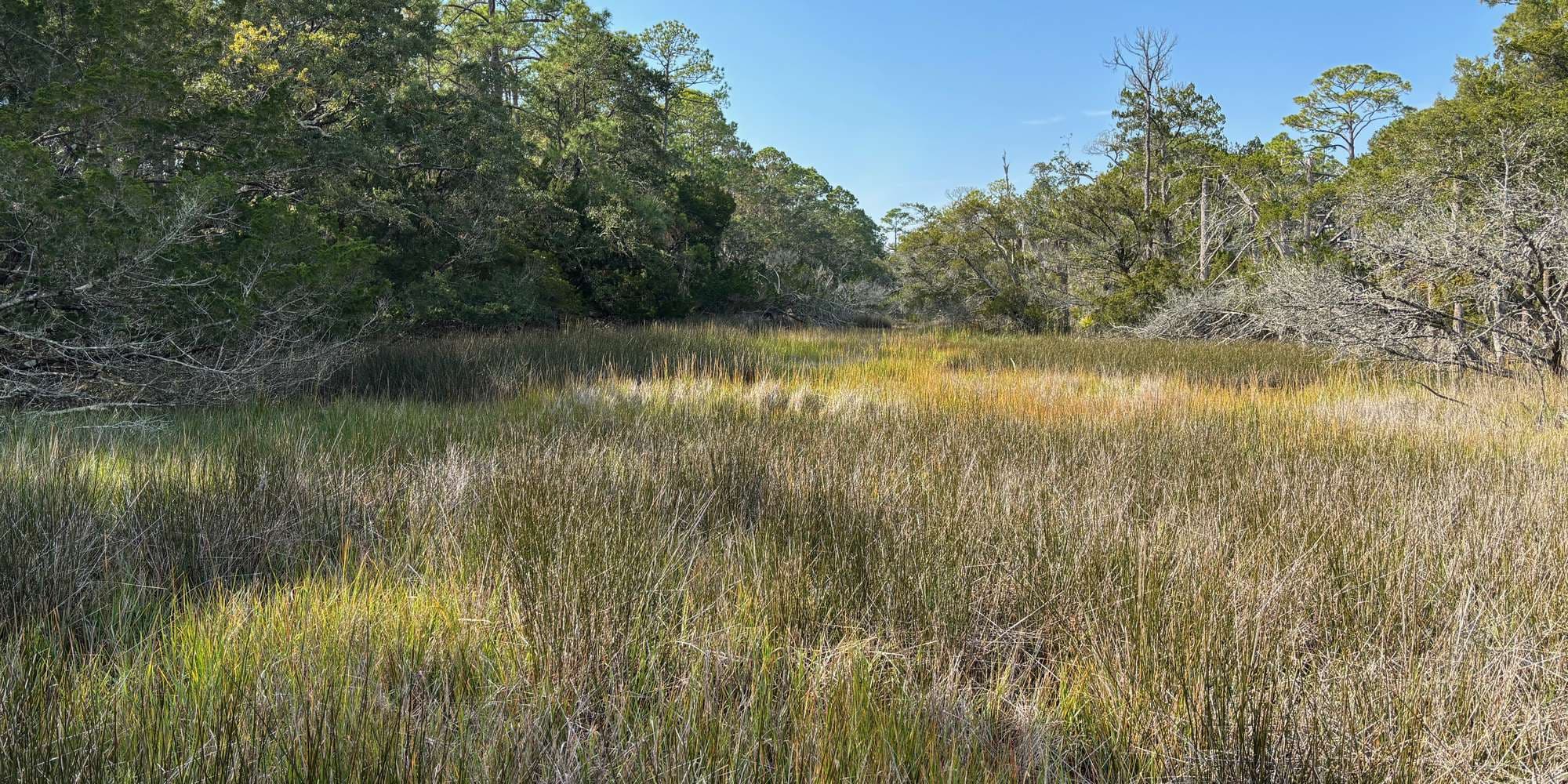 Second image to compare