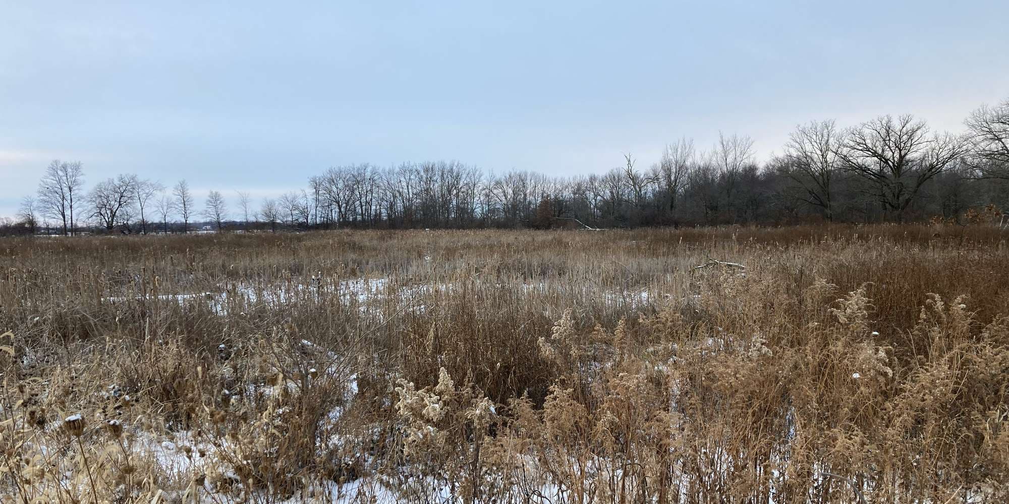 Second image to compare