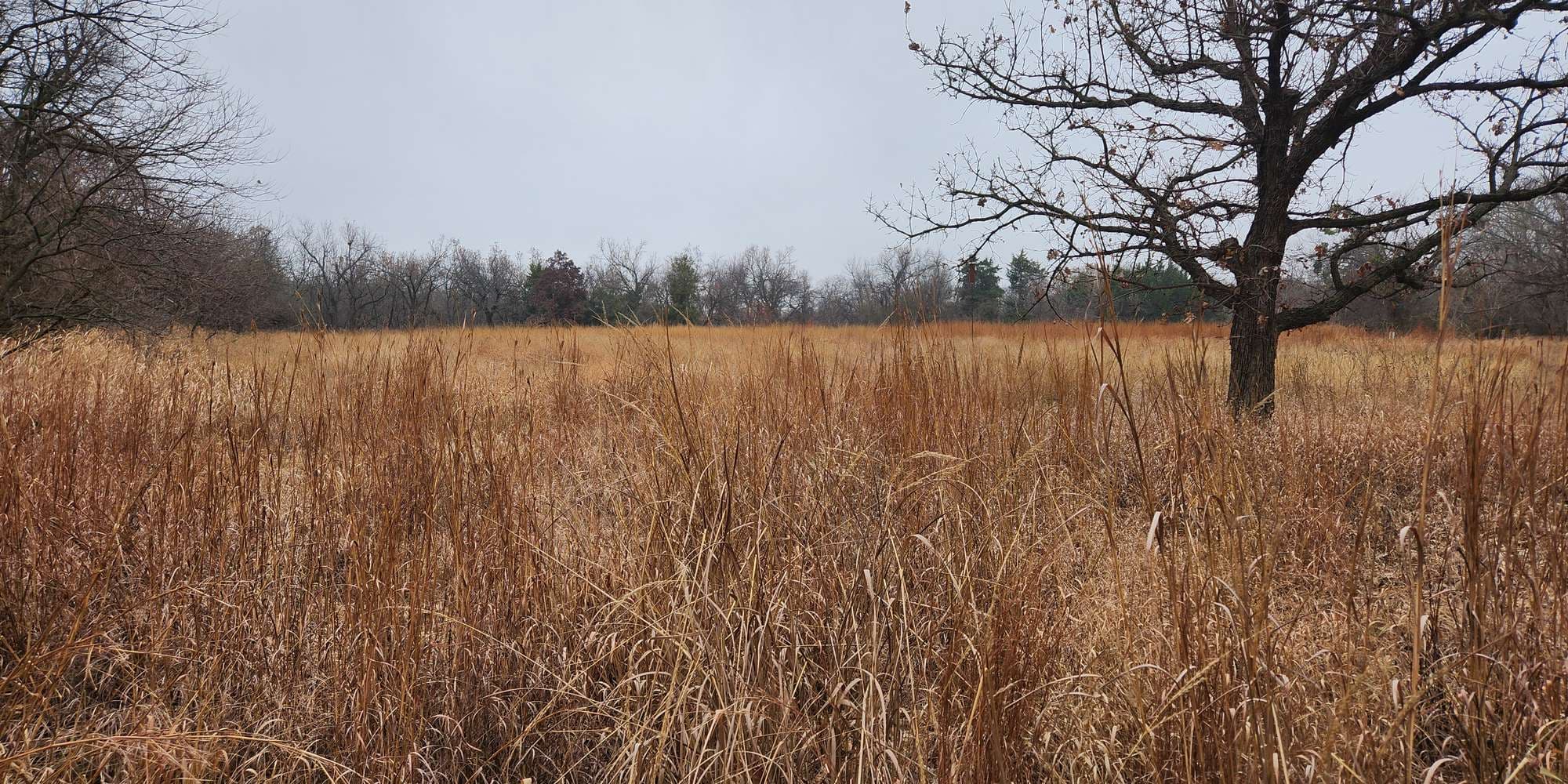 Second image to compare