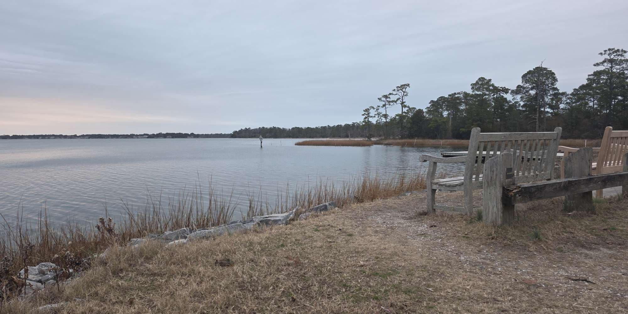 Second image to compare