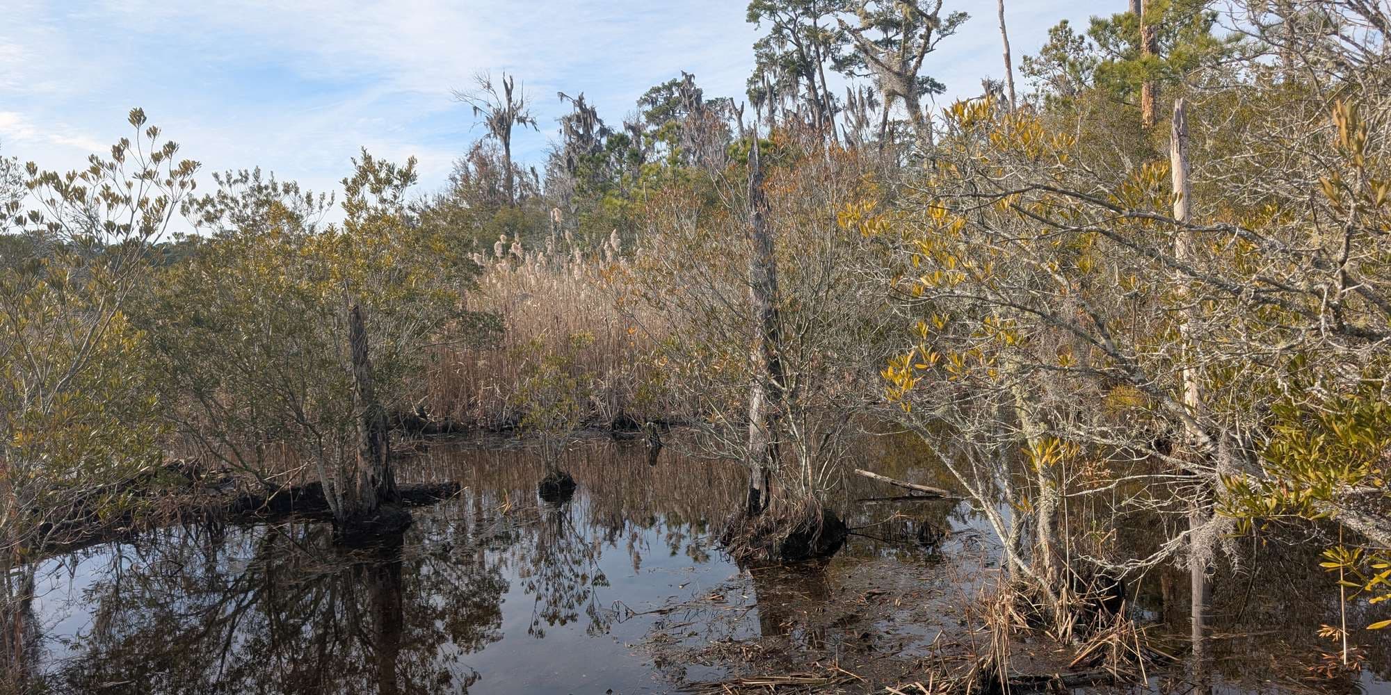 Second image to compare