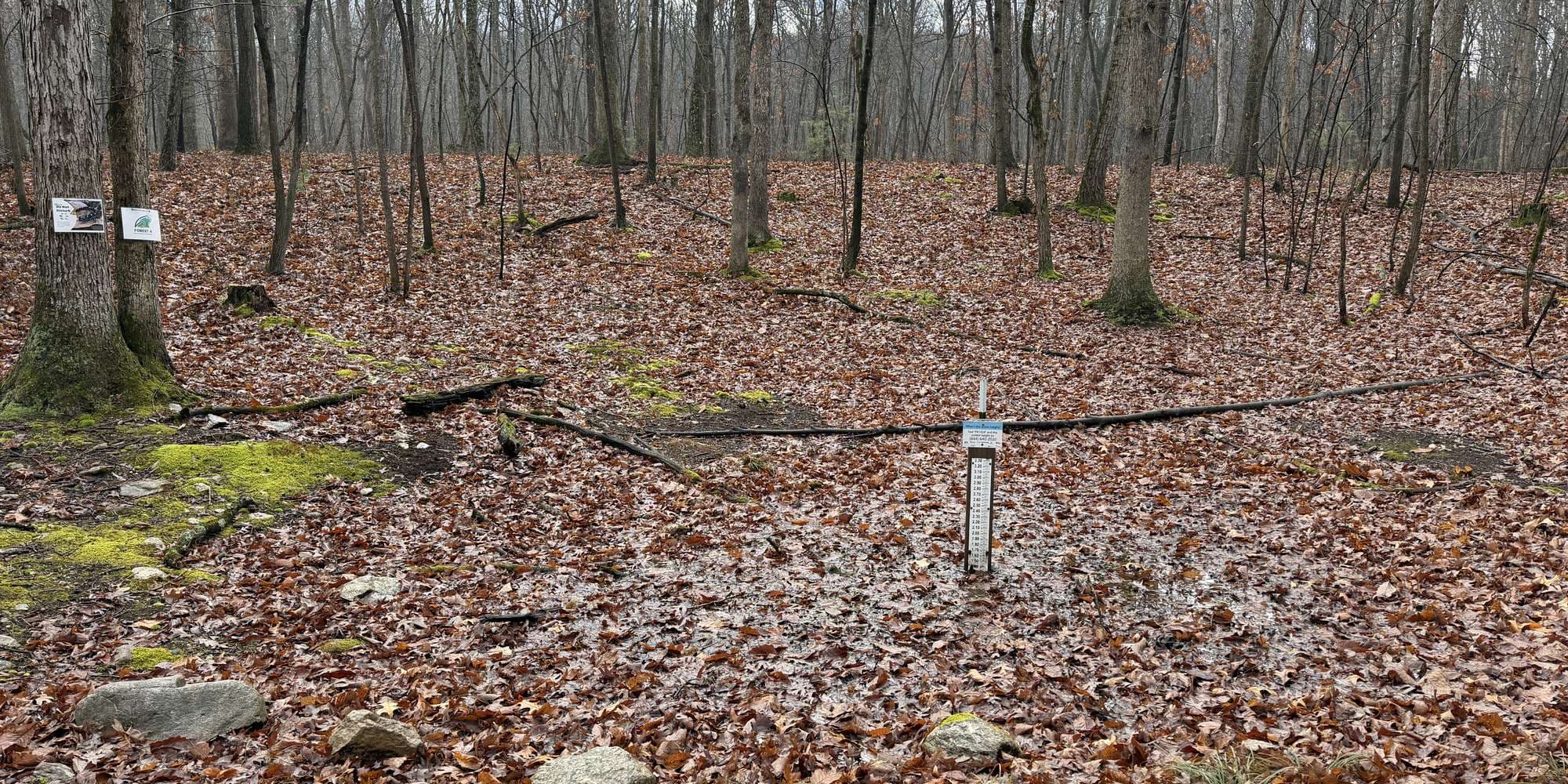 Second image to compare