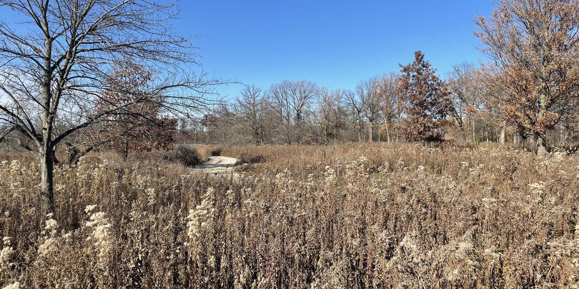 Second image to compare