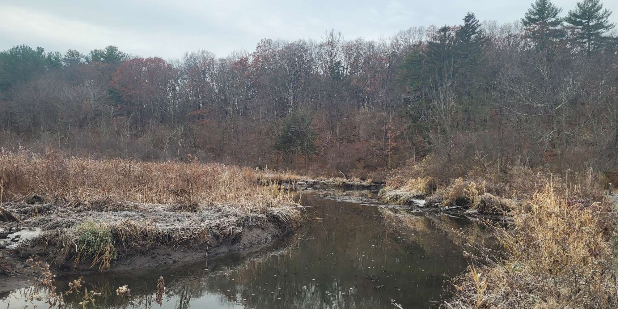 Second image to compare