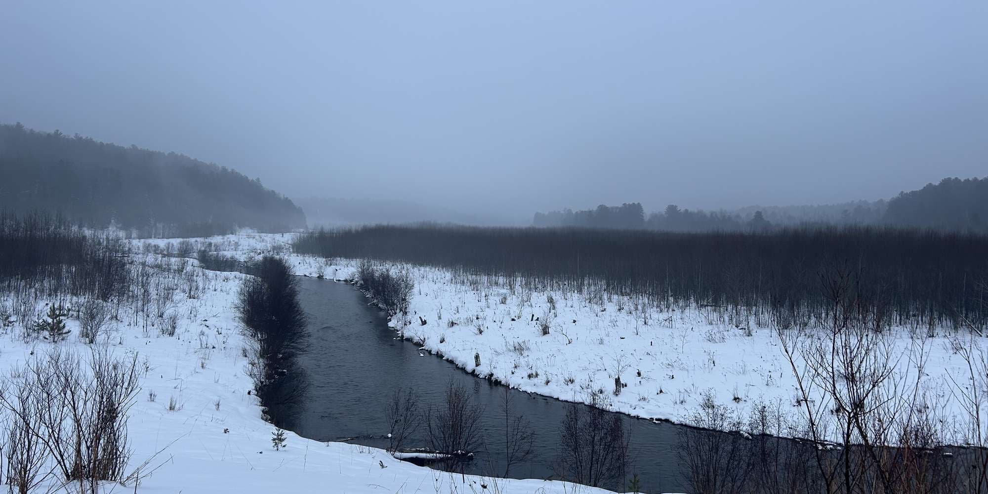 Second image to compare