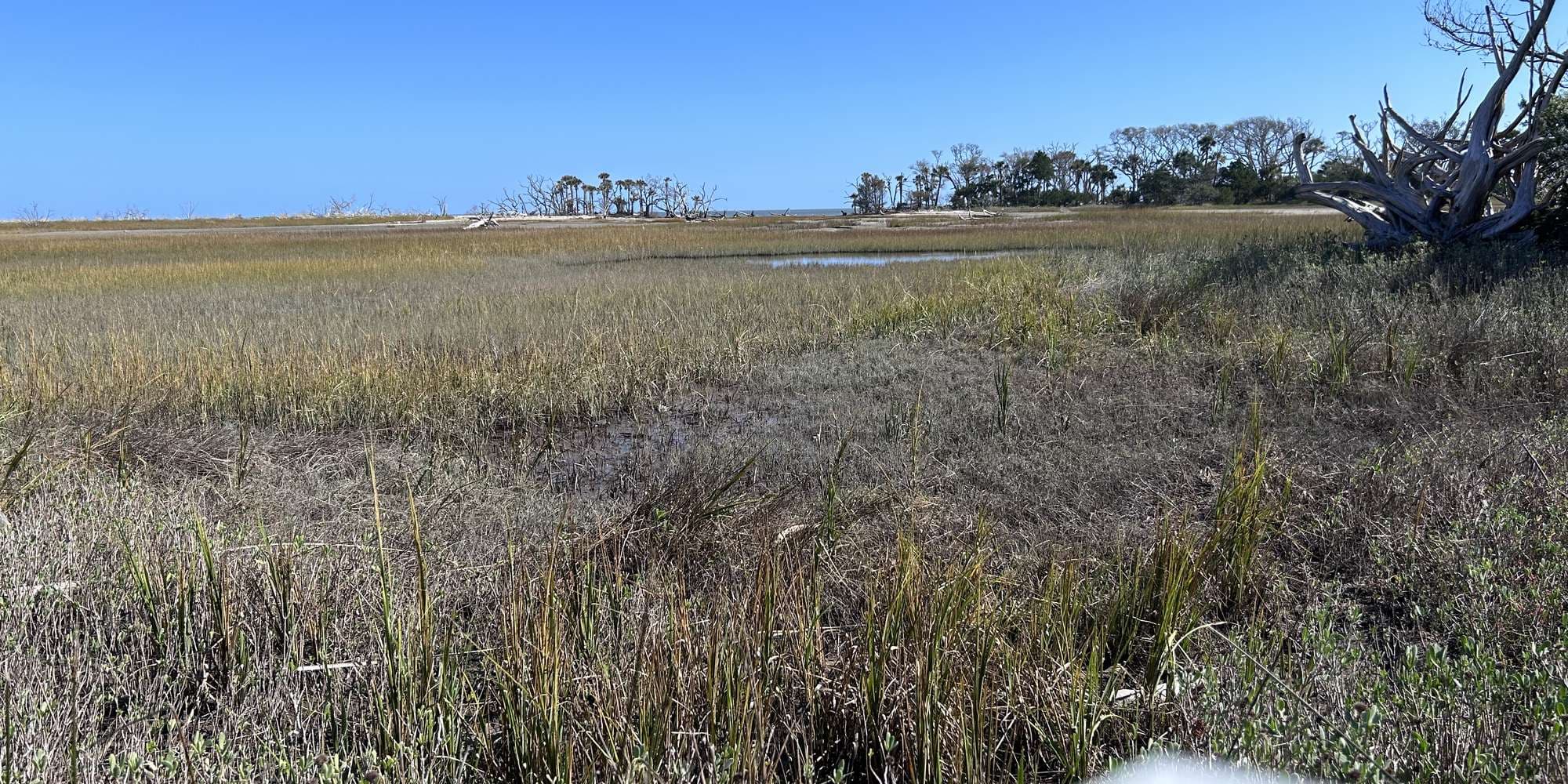 Second image to compare