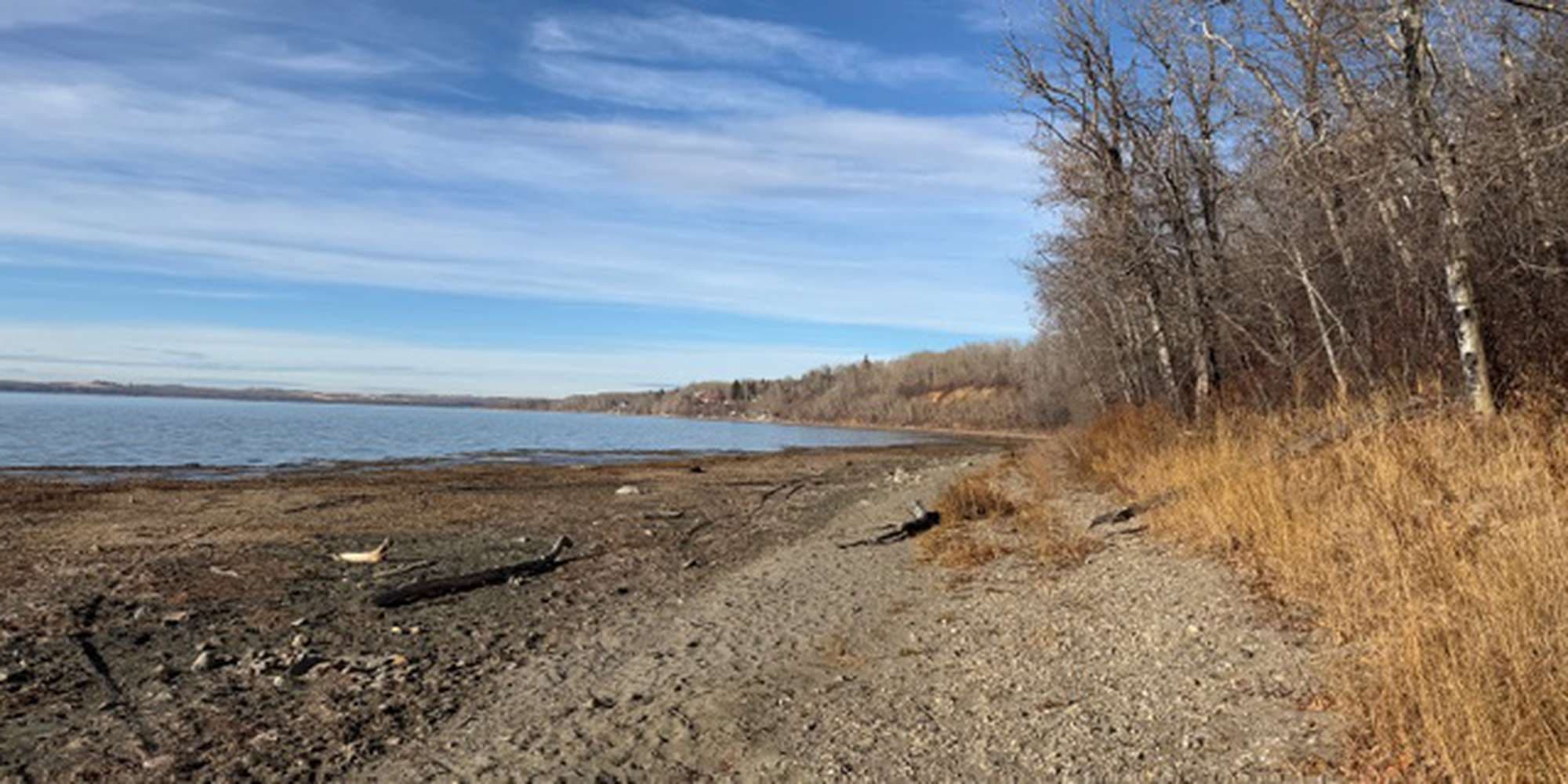 Second image to compare