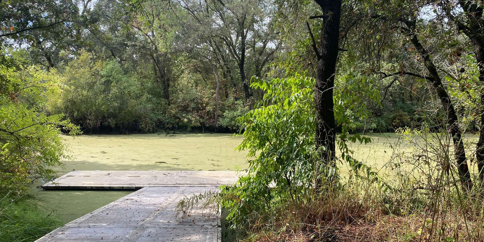 First image to compare