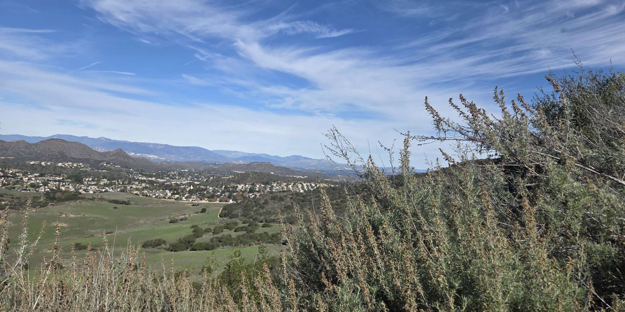 Second image to compare